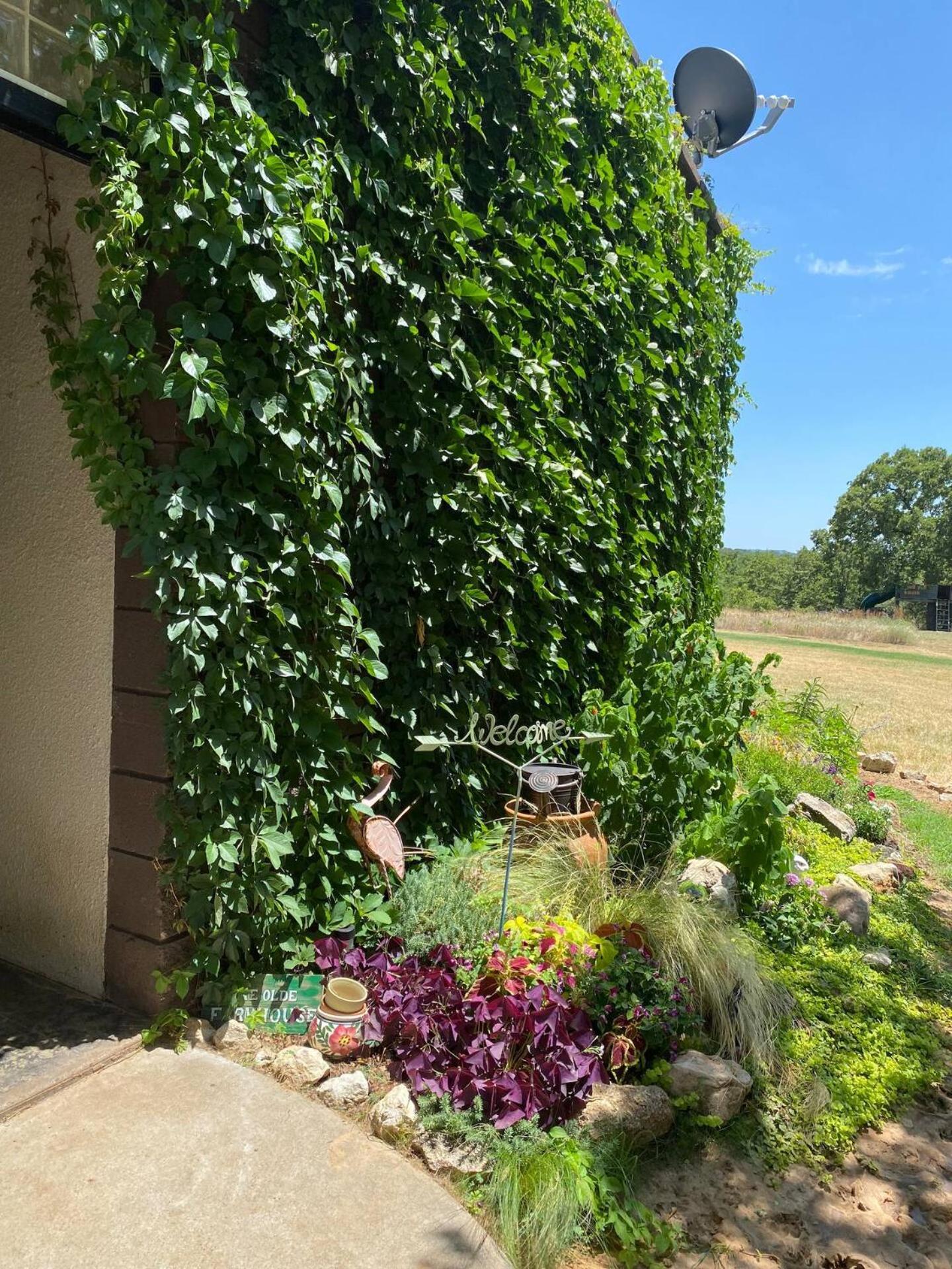 Nature Retreateclectic Country Boho Farmhouse Nocona Εξωτερικό φωτογραφία